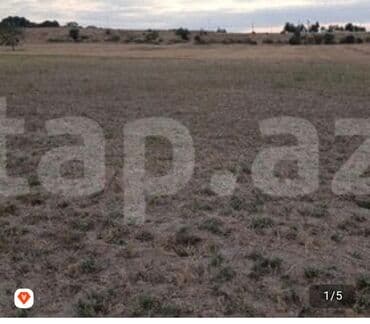 baku electronics xacmaz: 4 sot, Kənd təsərrüfatı, Makler, Kupça (Çıxarış) — 1