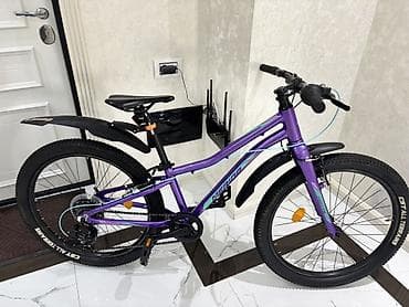 mini velosiped: Merida dağ velosipedi - Çərçivə: Alüminium, bənövşəyi rəngli dizayn - — 5