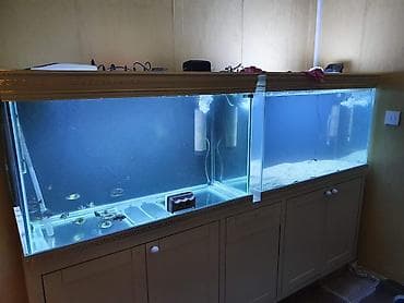 akvarium dekorlari: Böyük ölçülü dekorativ akvarium komplekti - Üç hissədən ibarət geniş — 3