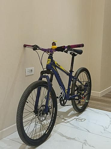 proteinler: Dağ/şəhər tipli velosiped – Start markalı, yüngül alaşımlı gövdə - — 1