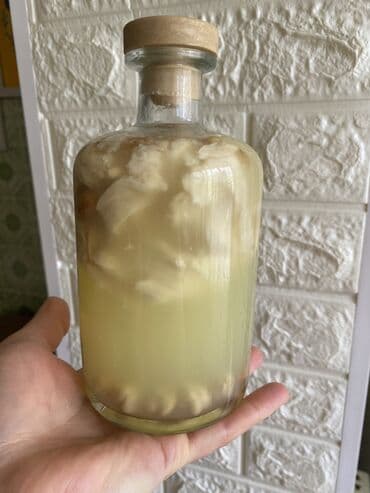 Şirniyyat məhsulları: Şirdan pendir mayası. Qədim reseptlə hazırlanır. Tam qatqısız öz — 1