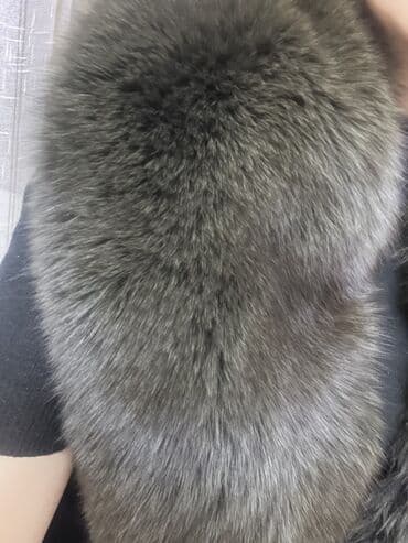 Renault: Kürk — 3