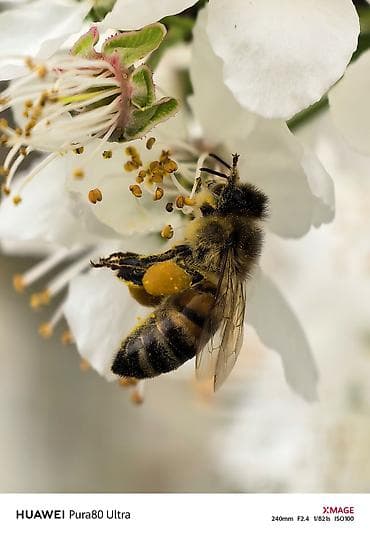 huawei p50 qiyməti: Huawei Pura 70 Ultra, 512 GB, rəng - Qızılı — 10