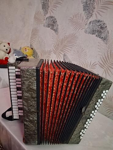 akkardeon: Akustik Akkordeon — 2