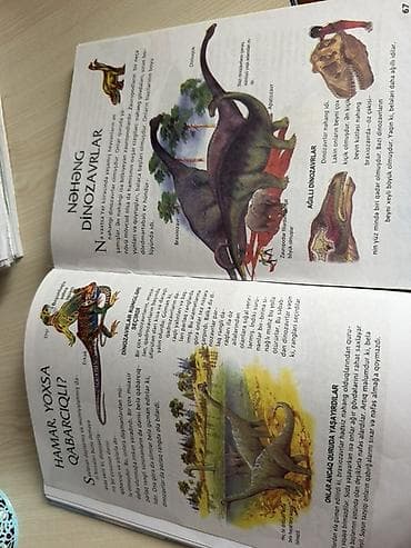 Mən Dünyanı Öyrənirəm – Uşaq Ensiklopedik Toplusu (kitab) - Dil — 4