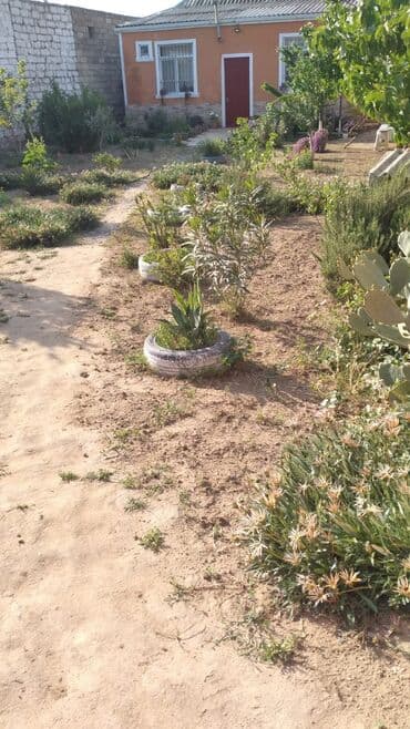 guven emlak mingecevir: Buzovna vişnovka .Tam dolu satlir eşyalarla birlikde — 10