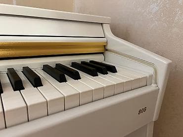 Piano, Rəqəmsal, Yeni, Ünvandan götürmə — 5