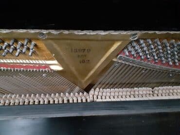 американские музыкальные инструменты: Piano, Akustik, İşlənmiş, Ünvandan götürmə — 4