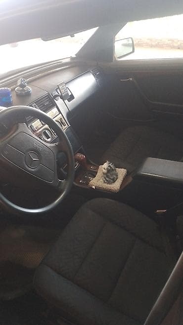 bmw e 39: Mercedes-Benz C-Class (W202) sedan - Kuzov: 4 qapılı sedan, metalik — 2