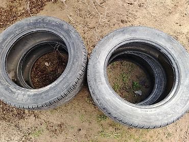 Şin Continental 225 / 60 / R 16