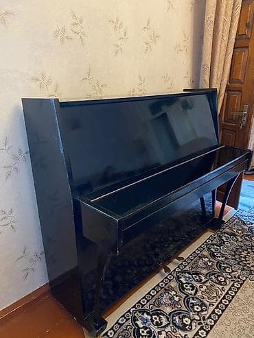 Musiqi alətləri: Upright pianino – “Kuban” markası, klassik qara cilalı korpus — 7