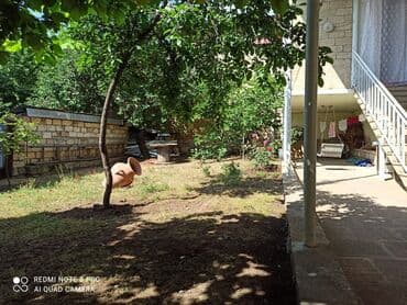 kiraye bag evleri ucuz: 7 otaqlı, 180 kv. m, Kredit var, Orta təmir — 11