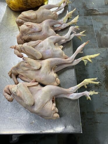 bilik gunu tortu: Satilir kend colpa çekisi 650;700qrama kimi qiymet 6;50(7)manata kimi — 1