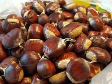 Qiymət çox ucuzdur səbəb topdan satılır Məhsul: Şabalıd (çiy, qabıqlı) lalafo.az -da Qiymət çox ucuzdur səbəb topdan satılır Məhsul: Şabalıd (çiy, qabıqlı)