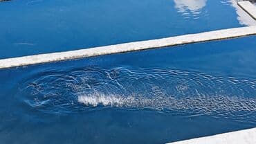 xacmazda torpaq qiymetleri: Təcili satılır. Real alıcı ilə razılaşmaq olar. Xaçmaz rayonu — 3