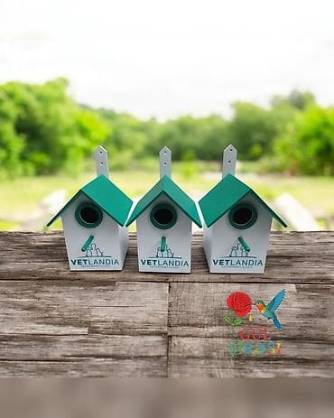 derzi qusu: Quş yuvası Sağlam və uzunömürlü ekoloji təmiz . Səliqəli və zövqlü — 2