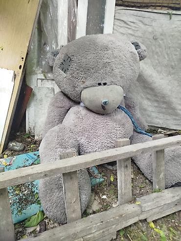 inek sekilleri: Big teddy 200 cm . boz rəngli maraqlı. ayıcıqdır. Hədiyyə etmək olar — 1
