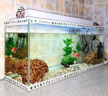 kompressor akvarium: Akvarium 70 Azn. Baha alınıb, köçle elaqeli satılır. səliqəli — 1