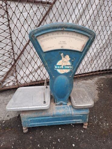 Biznes üçün program təminatı: Asılqan, 30 kq — 1