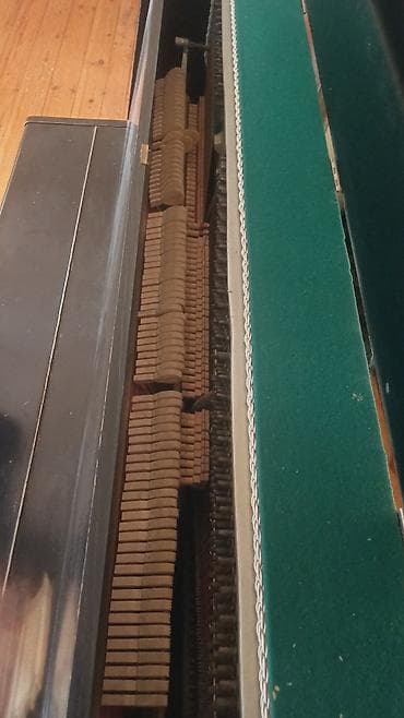 isma taurus: Qara rəngli, klassik üslubda akustik pianino. Korpus upright tipdədir — 4
