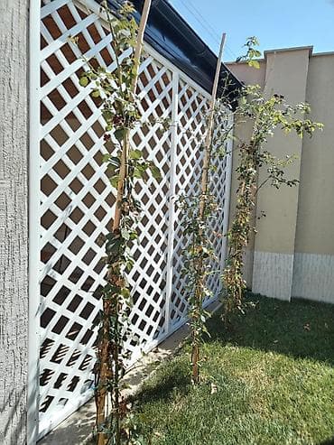 Dekorativ divar panelləri: Taxta arakəsmə. Taxta materialından hazırlanır, ağ rəng ilə boyanır — 3