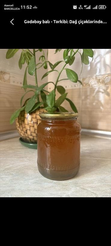 şanlı bal: Təbbi Çiçəklərdən Toplanmış Bal 🍯 — 1