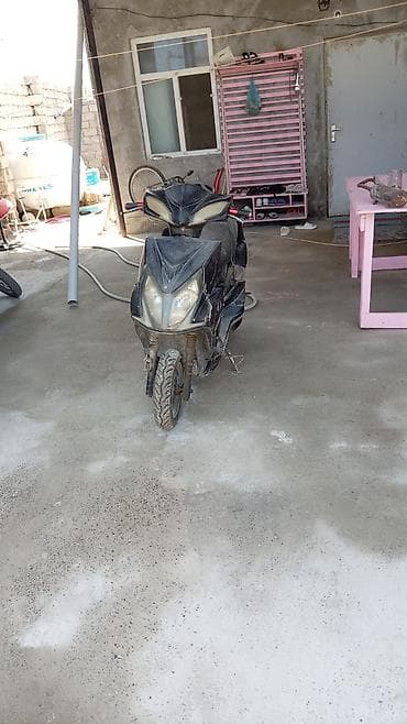 moped: , təcili satlr sənədi yoxtu belə alqə saxlynı 0516461951 bird~ statr — 1