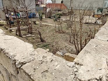 villa insaat mmc: Tikinti — 2