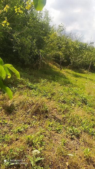 ev satlir: Gəncə, 4 kv. m, 1 otaqlı, Hovuzsuz, Su — 2