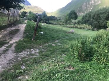 memar ecemi kiraye ev: 5 sot, Tikinti, Maklerlər narahat etməsin, Kupça (Çıxarış) — 5