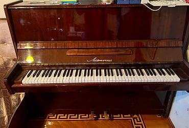 Skripkalar: Pianino Satılır — 2