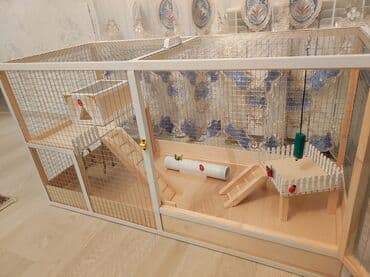 ag dovsan: Dovşan,hamster,şinşila,bildirçin,cücə,xamyak,pişik,quş ve s kimi ev — 4