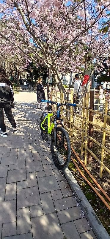 stels velosipedleri: Satılır problemi yoxdur her sey usdunde verilir m50 nen bartwr ederem — 1