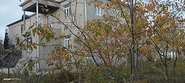 bar: Bakı, 240 kv. m, 7 otaqlı — 3