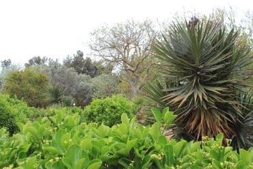 baki hovuzlu evler: Bilgəh qəs. 10 otaq, 800 kv. m, Kredit yoxdur, Orta təmir — 27