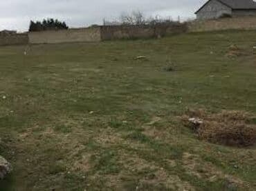 ferma icarəyə verilir: 40 sot, Kənd təsərrüfatı, Mülkiyyətçi, Kupça (Çıxarış) — 1