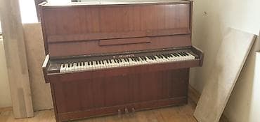 Электротранспорт: Пианино, Беларусь, Акустический — 2