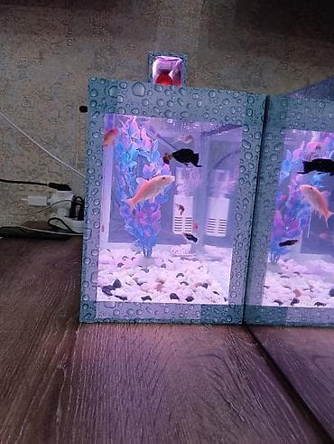 heyvanlar atlar: Akvaryum dəsti – tam işlək komplekt akvaryum, dekorativ “su damcısı” — 2