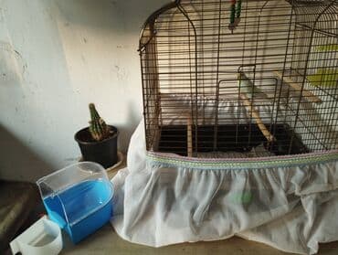 сетка для клетки попугая: Dəyirmi günbəz formalı, qəhvəyi metal çubuqlu quş qəfəsi. Qəfəsin — 6