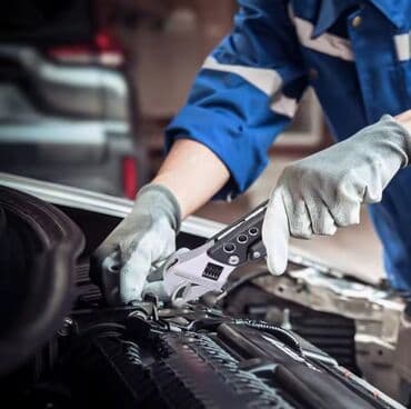 makita laqonda: Yeni Laqonda, Pulsuz çatdırılma — 13