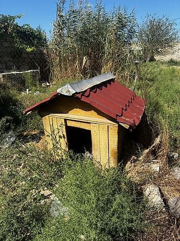купить насос для воды: Salamm itlər çün yuvlar kimm istsə yazsınn 3 dənədi 230 mamatdıı ünvan — 2