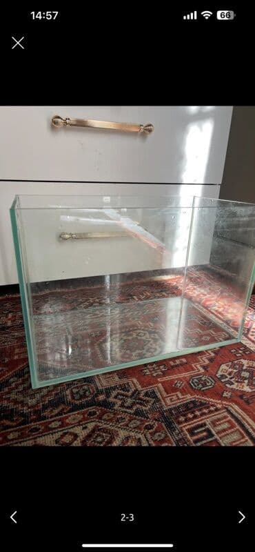 canlı yem: Dördbucaq akvarium, Boş, 34 l, Ödənişli çatdırılma, Ünvandan götürmə — 2