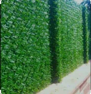 Tavan: Süni̇ qazon si̇fari̇şi̇ hər növ süni qazon örtüklərini bizdən əldə — 7