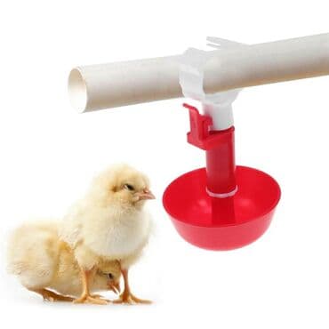 çöl ördeyi: Su qabi Nipel Avtomatik su qabi Toyuq-cücə, bildirçin, ordək, qaz ve — 1