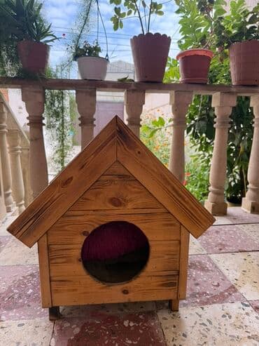 Taxta heyvan evi – kiçik it və ya pişik üçün - Material: təbii taxta