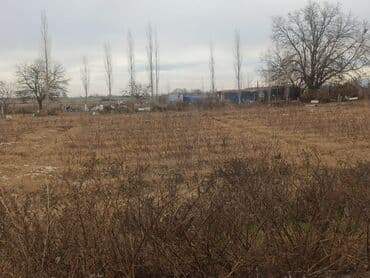 аренда дачи в баку: 8 соток, Для строительства, Собственник, Купчая — 2