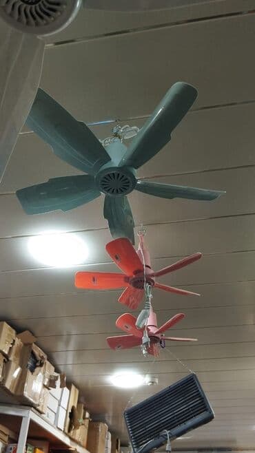 asma ventilyator: Вентилятор Новый, Потолочный, Лопастной, Нет кредита, Доставка в районы, Самовывоз, Платная доставка — 3
