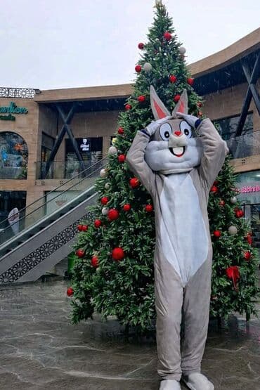 usaq bayrami tebrikleri: Şənlik və tədbirlər üçün maskot xidmətləri - Uşaq bayramları, ad — 3