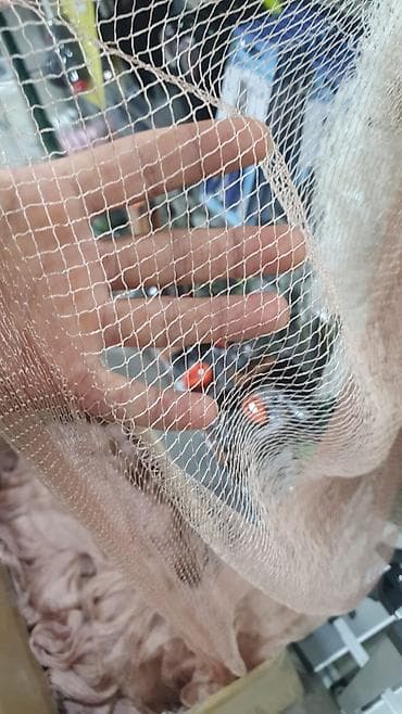 Охота и рыбалка: Russiya istehsalı olan setkalar çox keyfiyyətli yagişa güneşe qarşı — 5