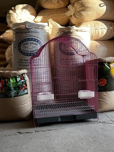 südlük inek satilir: Korella qəfəsi təzədir istifadə olunmayıb — 2